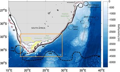 Earth Observation and Machine Learning Reveal the Dynamics of Productive Upwelling Regimes on the Agulhas Bank